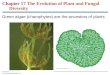Chapter 17 The Evolution of Plant and Fungal Diversity Green algae (charophytes) are the ancestors of plants © 2012 Pearson Education, Inc
