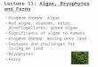 Lecture 11: Algae, Bryophytes and Ferns Kingdom Protista: Algae Red algae, diatoms, kelps, dinoflagellates, green algae Significance of algae to humans