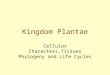 Kingdom Plantae Cellular Characters,Tissues Phylogeny and Life Cycles