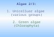 Algae 2/3: 1. Unicelluar algae (various groups) 2. Green algae (Chlorophyta)