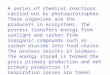 A series of chemical reactions carried out by photoautotrophes. These organisms are the producers in ecosystems. The process transfers energy from sunlight