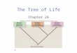 The Tree of Life Chapter 26 2 Why classify organisms? 1.Order and organization 2.Common names confusing Ex. Jellyfish, starfish, etc. 3.Common names