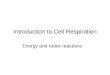 Introduction to Cell Respiration Energy and redox reactions