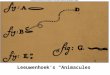 Leeuwenhoek’s “Animacules”. Early History of Microbiology: 1668 – Francesco Redi disproves spontaneous generation 1676 – Antony van Leeuwenhoek first