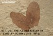 BIF 26: The Colonization of Land by Plants and Fungi