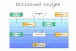 Dissolved Oxygen The presence of oxygen gas molecules (O 2 ) in the water. It’s important for aquatic animals and plants during respiration. Important