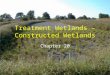 Treatment Wetlands – Constructed Wetlands Chapter 20