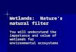 Wetlands: Nature’s natural filter You will understand the importance and value of wetlands for environmental ecosystems