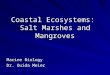 Coastal Ecosystems: Salt Marshes and Mangroves Marine Biology Dr. Ouida Meier