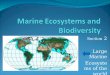Section 2 Large Marine Ecosystems of the world. Objectives To understand relationships between organisms within ecosystems To identify the connection