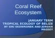 What is a Coral Reef? A. An ecosystem formed by millions of coral organisms called polyps i. A system of interconnected elements, formed by the interaction