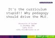 It’s the curriculum stupid!! Why pedagogy should drive the MLE. University of Durham 11 December 2001 Cathy Ellis cathy.ellis@citysun.ac.uk