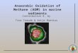 Anaerobic Oxidation of Methane (AOM) in marine sediments Contribution 8, by Tina Treude & Antje Boetius