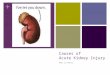 + Causes of Acute Kidney Injury Amy Livesey. + Overview Why Acute Kidney Injury? Definition Recap of types of AKI Causes of Acute Kidney Injury How to