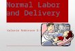 Normal Labor and Delivery Valerie Robinson D.O.. Definition of Labor Contractions Become regular Increase in strength and frequency Cervical change: Dilation