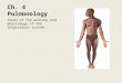 Ch. 4 Pulmonology Study of the anatomy and physiology of the respiratory system
