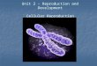 Unit 2 – Reproduction and Development Cellular Reproduction