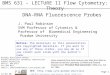 Page 1 © 1988-2010 J.Paul Robinson, Purdue University BMS 602 LECTURE 11.PPT 6:21 PM BMS 631 - LECTURE 11 Flow Cytometry: Theory Bindley Bioscience Center