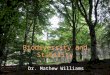 Biodiversity and Stability Dr. Mathew Williams. Complexity and stability Does a cellular process need all those processes? Must an organism have so many