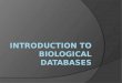 Basic Genomic Characteristic  AIM: to collect as much general information as possible about your gene: Nucleotide sequence Databases ○ NCBI GenBank ○