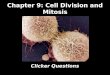 Chapter 9: Cell Division and Mitosis Clicker Questions