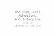 The ECM, Cell Adhesion, and Integrins 2/12/15 Lecture 6, ChE 575 1