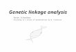 Genetic linkage analysis Dotan Schreiber According to a series of presentations by M. Fishelson