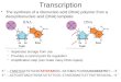 Transcription The synthesis of a ribonucleic acid (RNA) polymer from a deoxyribonucleic acid (DNA) template –Separates storage from use –Provides a control