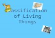 Classification of Living Things. How are things classified? How do you know where to find an item at the grocery store? If items were placed just anywhere,