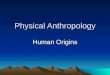 Physical Anthropology Human Origins. What is a Mammal? Class Mammalia- air-breathing vertebrate animals characterized by the possession of endothermy,