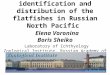 Additions to the identification and distribution of the flatfishes in Russian North Pacific Elena Voronina Boris Sheiko Laboratory of Ichthyology Zoological