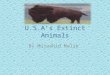 U.S.A’s Extinct Animals By Mujaahid Malik. American lion Kingdom: Animalia Phylum: Chordata Class: Mammalia Order: Carnivora Family: Felidae Genus: Panthera