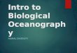 Intro to Biological Oceanography ANIMAL DIVERSITY