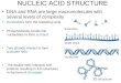 DNA and RNA are large macromolecules with several levels of complexity Nucleotides form the repeating units Phosphodiester bonds link nucleotides to form
