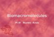 Biomacromolecules Pt III: Nucleic Acids. Nucleic acids Linear polymers made up of monomers called nucleotides. They are of critical importance to the