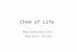 Chem of Life Macromolecules: Nucleic Acids. Biomolecules Store and Transmit Hereditary Information