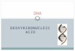 DEOXYRIBONUCLEIC ACID DNA. O.L Lesson Objectives At the end of this lesson you should be able to 1. Outline the simple structure of DNA – 2 strands and