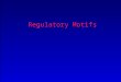 Regulatory Motifs. Contents Biology of regulatory motifs Experimental discovery Computational discovery PSSM MEME