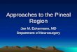 Approaches to the Pineal Region Jan M. Eckermann, MD Department of Neurosurgery