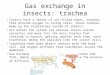 Gas exchange in insects: trachea Insects have a series of air-filled tubes, trachea, that provide oxygen to living cells. These trachea make up the respiratory