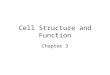 Cell Structure and Function Chapter 3 Basic Characteristics of Cells Smallest living subdivision of the human body Diverse in structure and function
