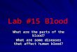 Lab #15 Blood What are the parts of the blood? What are some diseases that affect human blood?
