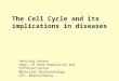 The Cell Cycle and its implications in diseases Hansjörg Hauser Dept. of Gene Regulation and Differentiation Molecular Biotechnology HZI, Braunschweig