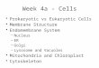 Week 4a - Cells Prokaryotic vs Eukaryotic Cells Membrane Structure Endomembrane System –Nucleus –ER –Golgi –Lysosome and Vacuoles Mitochondria and Chloroplast