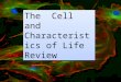 The Cell and Charact eristic s of Life Review cell membrane nucleus nuclear membranecytoplasm cell wallchloroplastvacuolemitochondrion Gel-like fluid
