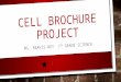 CELL BROCHURE PROJECT MS. REAVIS-BEY 7 TH GRADE SCIENCE