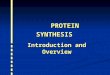 PROTEIN SYNTHESIS PROTEIN SYNTHESIS Introduction and Overview