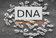 DNA The Code of Life. Introduction… DNA → Deoxyribonucleic acid This makes up the genes located on the chromosomes in the nucleus. RNA → Ribonucleic
