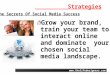 ____________ Strategies Grow your brand, train your team to interact online and dominate your chosen social media landscape.  The