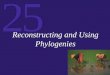 25 Reconstructing and Using Phylogenies. 25 Phylogeny: the evolutionary history of a species Systematics: the study of biological diversity in an evolutionary